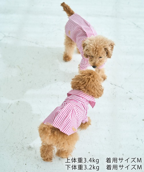 ROPE' PICNIC（ロペ ピクニック） 犬 服 「DOG」刺繍ロゴ入り