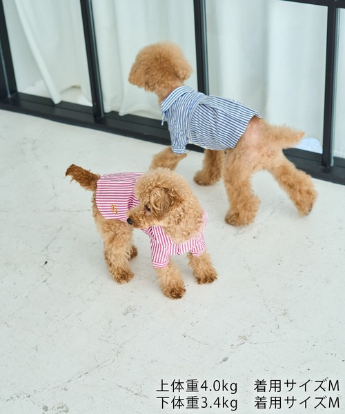 ROPE' PICNIC（ロペ ピクニック） 犬 服 「DOG」刺繍ロゴ入り