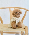 犬 服 「DOG」ぽこぽこギャザーワンピースの詳細画像1