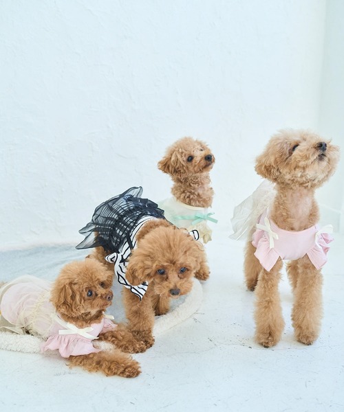ROPE' PICNIC（ロペ ピクニック） 犬 服 「DOG」キャミチュール