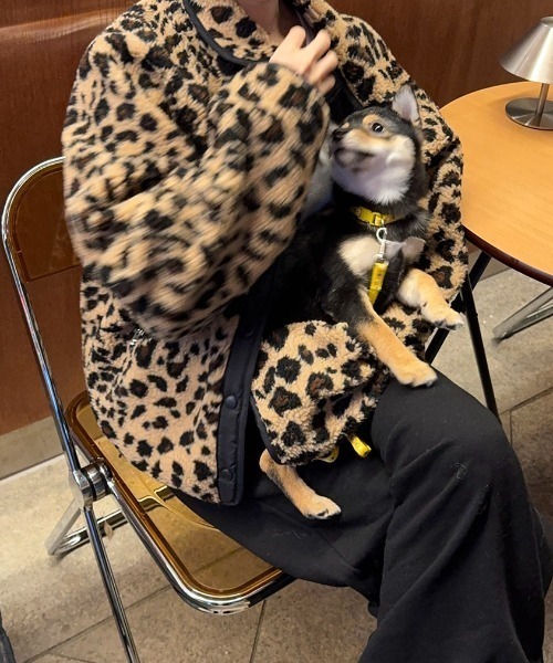 Aelina ブルゾン アウター スタンドカラーリバーシブルヒョウ柄