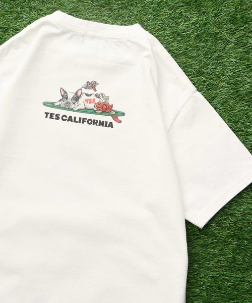 The Endless Summer（エンドレスサマー） tシャツ TES 4BUHI NIKKO T