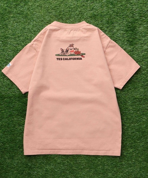 エンドレスサマー 40th アニバーサリーBOX 【Tシャツ未開封付き！！】 The Endless Summer 映画公開60周年記念Tシャツ | real surf shop