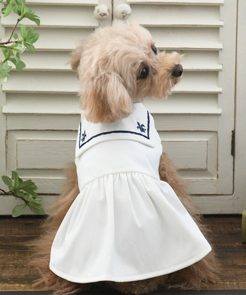 One Octave（ワンオクターブ） 犬 服 One Octave/ミディカラーワンピ