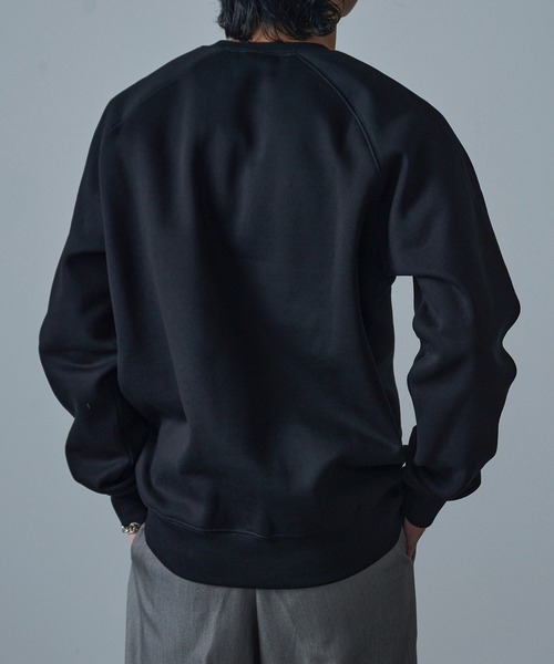Carhartt L/S CHASE SWEAT POLO 襟付き スウェット Carhartt WIP（カーハートワークインプログレス） トレーナー