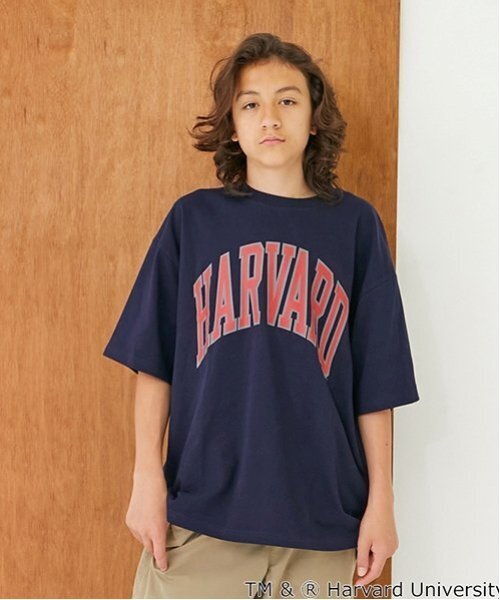 ハーバード大学　パーカー、Tシャツx3 ハーバード大学 パーカー、Tシャツx3