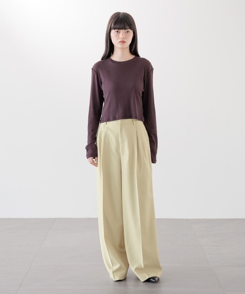 tシャツ シアーテレコクロップドロングスリーブ 242275