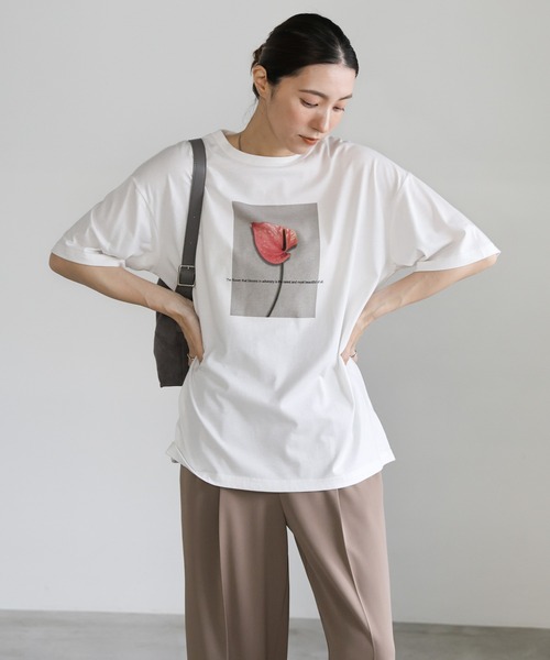 「select MOCA」 半袖Tシャツ FREE ブラック系その他2 レディース_画像2