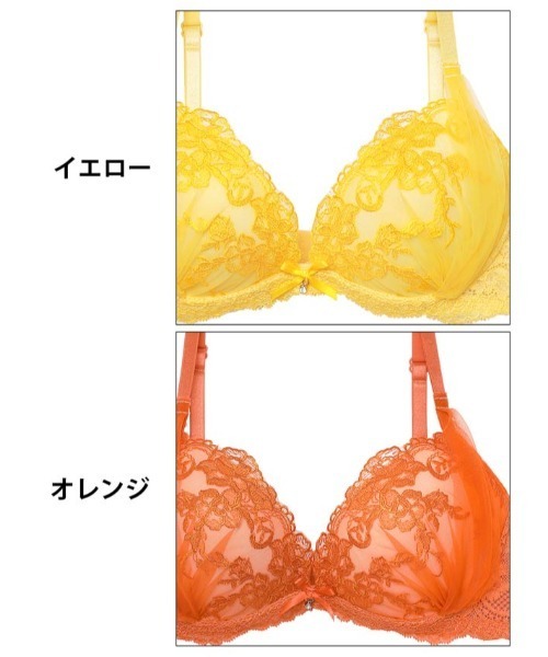 ブラジャー ショーツセット フレッシュ シアー フラワー ＆ フル