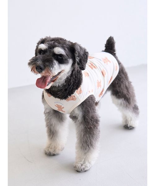 gelato pique（ジェラートピケ） 犬 服 「CAT＆DOG」ベア柄プル