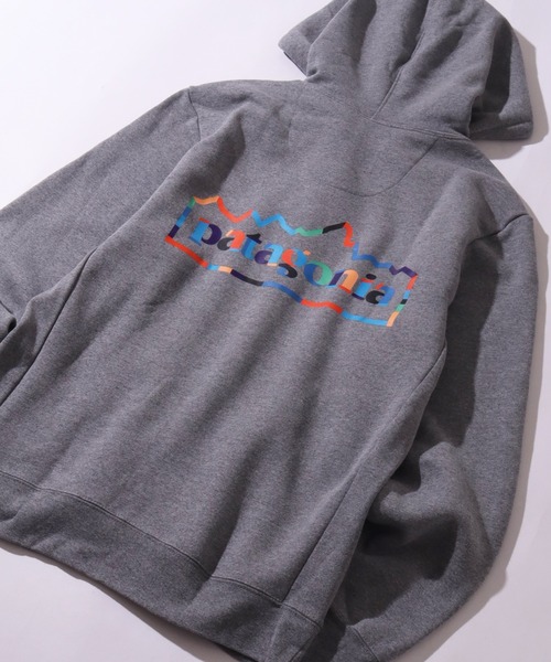 patagonia（パタゴニア） プルオーバーパーカー M ブラウン メンズ