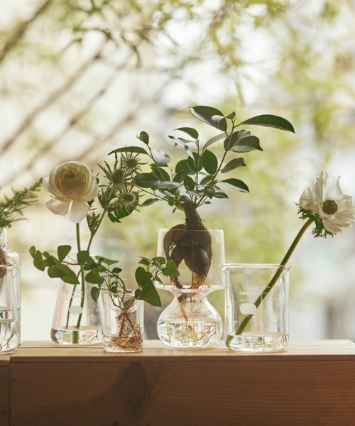 HARIO Supreme ガラス花瓶 約500ml HARIO Supreme ガラス花瓶 約500ml