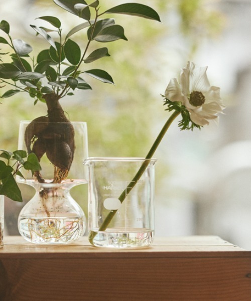 TODAY'S SPECIAL（トゥデイズスペシャル） 花瓶 「HARIO」ビーカー