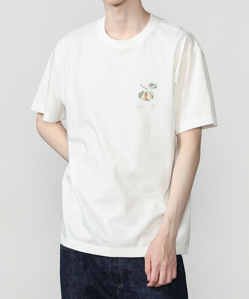 Bshop tシャツ History of Art | プリントTシャツ PEAR MEN メンズ