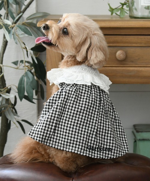GRACE CONTINENTAL（グレースコンチネンタル） 犬 服 DOGWEAR