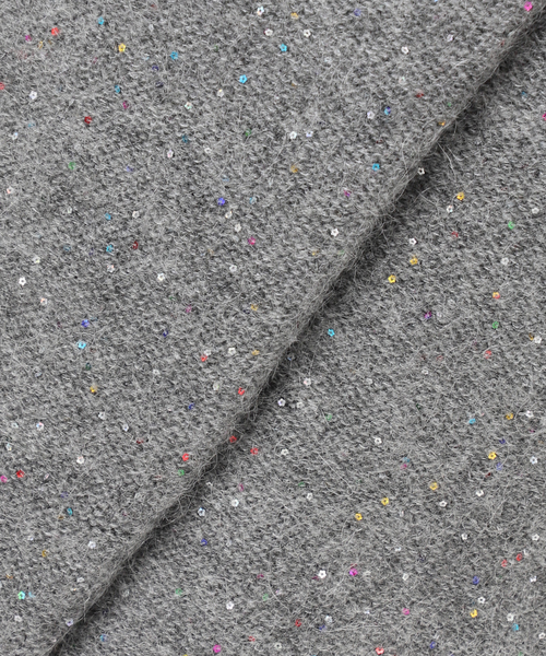 新品【SLOBE IENA】スパンコールニット グレー SLOBE IENA（スローブイエナ） ニット セーター 「WEB限定/追加2