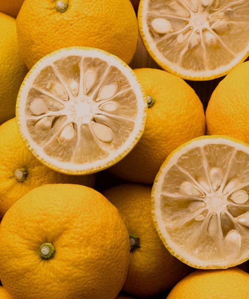 OSAJI（オサジ） ボディクリーム マッサージ ボディセラム Yuzu「ユズ