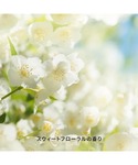 日焼け止め ハッチ hacci HACCI(ハ...の詳細画像5