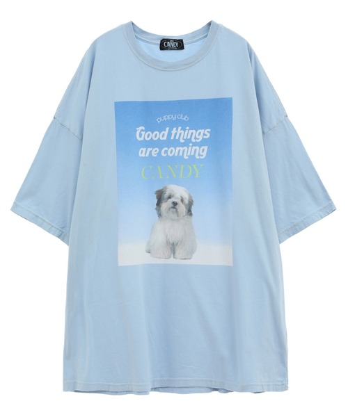 GOOD PUPPY BIG BIG Tシャツ Candy Stripper Candy Stripper（キャンディーストリッパー） tシャツ GOOD PUPPY BIG