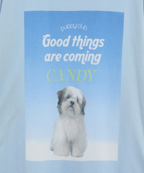 GOOD PUPPY BIG BIG Tシャツ Candy Stripper Candy Stripper（キャンディーストリッパー） tシャツ GOOD PUPPY BIG