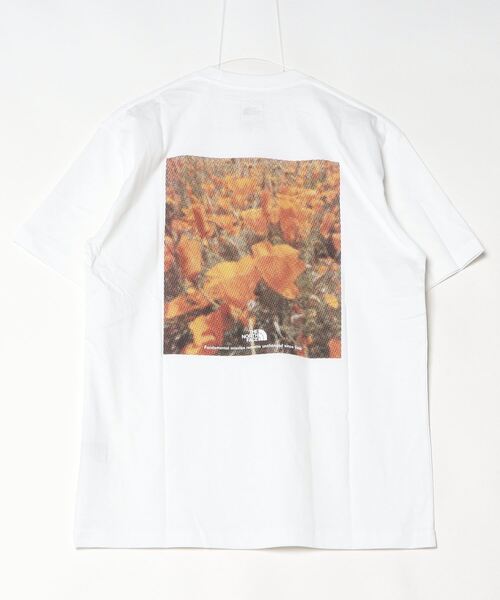 THE NORTH FACE tシャツ FACE/ザ・ノース・フェイス ショート
