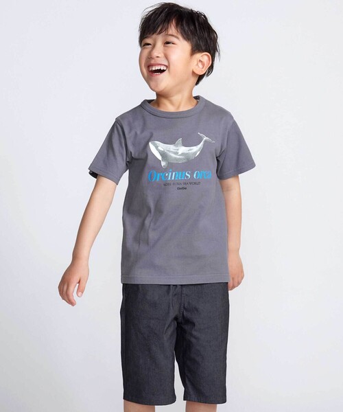 BeBe（ベベ） tシャツ 「 速乾 」「神戸須磨シーワールド×BeBe」シャチ