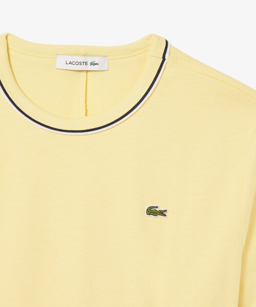 LACOSTE（ラコステ） ワンピース 配色ラインドリブTシャツドレス