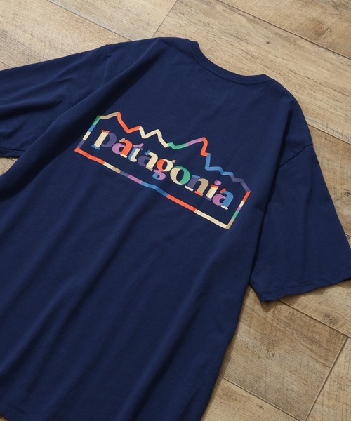 パタゴニア 91年Logo T-shirt 生態系 L パタゴニア 91年Logo T-shirt