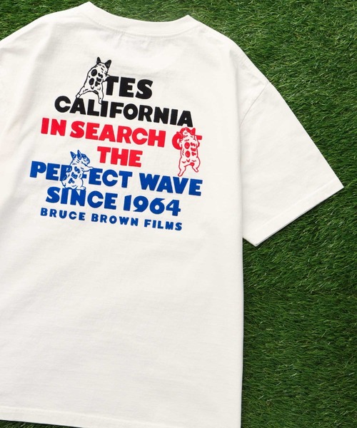 The Endless Summer（エンドレスサマー） tシャツ 「WEB / FLAG SHOP