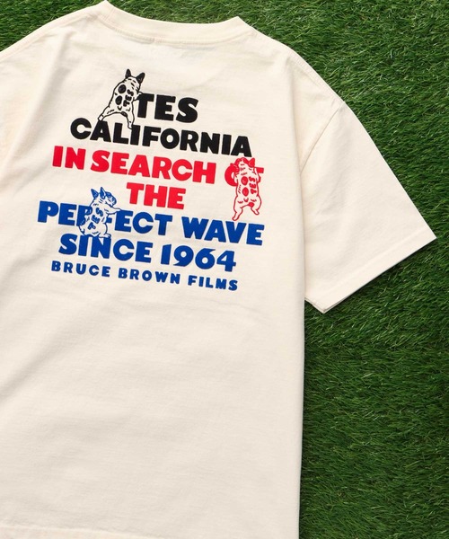 The Endless Summer（エンドレスサマー） tシャツ 「WEB / FLAG SHOP