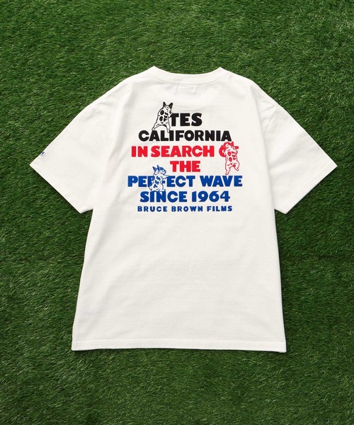 The Endless Summer（エンドレスサマー） tシャツ 「WEB / FLAG SHOP