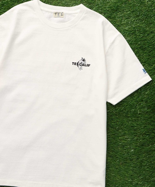 The Endless Summer（エンドレスサマー） tシャツ 「WEB / FLAG SHOP