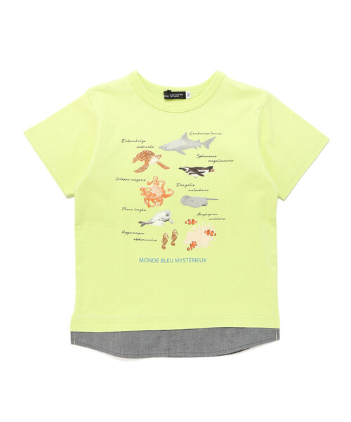 BeBe（ベベ） tシャツ 「 速乾 」「神戸須磨シーワールド×BeBe」不思議