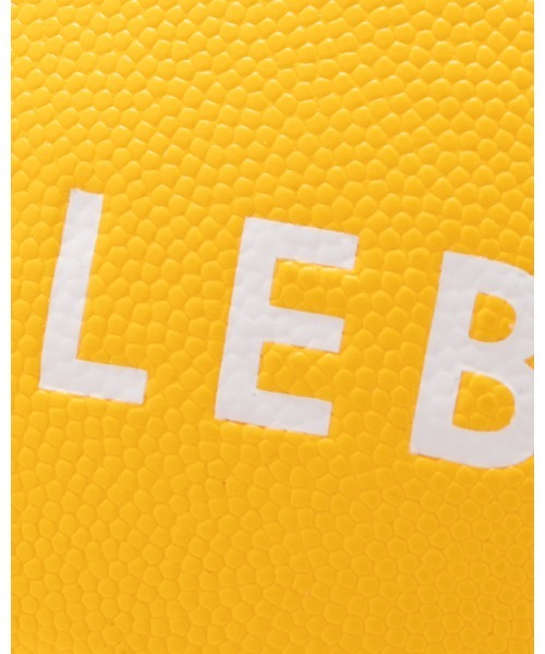 APPLEBUM × TACHIKARA CUSTOM BASKETBALL “Y.E.L.”の画像