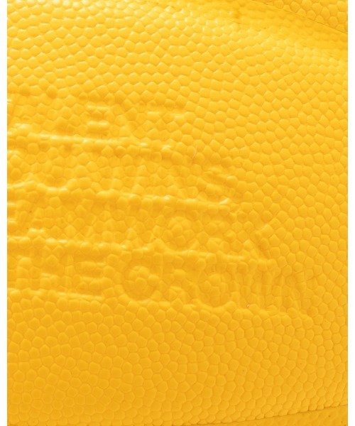 APPLEBUM × TACHIKARA CUSTOM BASKETBALL “Y.E.L.”の画像