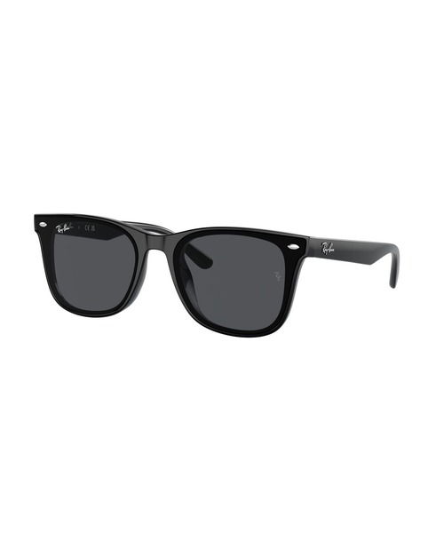 Ray-Ban（レイバン） サングラス 「新着」Ray-Ban サングラス RB4420