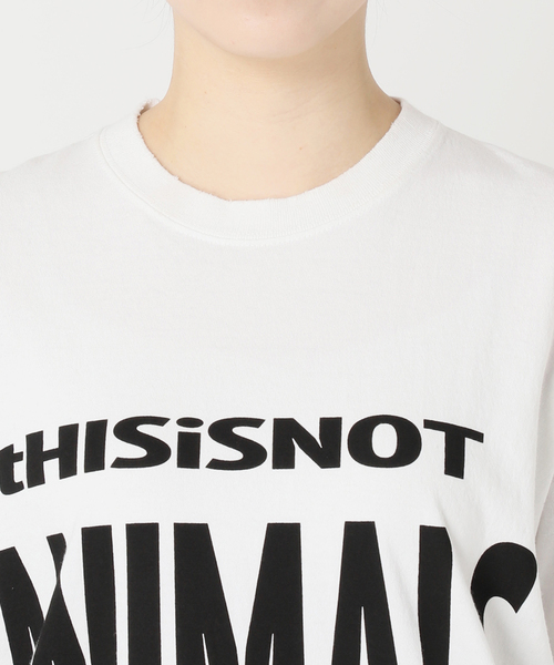 FRAMeWORK（フレームワーク） tシャツ 半袖 STUDIO WEAREALLANIMALS