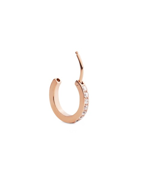 Daniel Wellington ピアス Crystal Hoop Earring レーディス