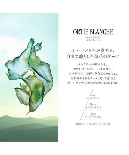 L'OCCITANE（ロクシタン） ボディソープ オルティブランシュ「エルバ