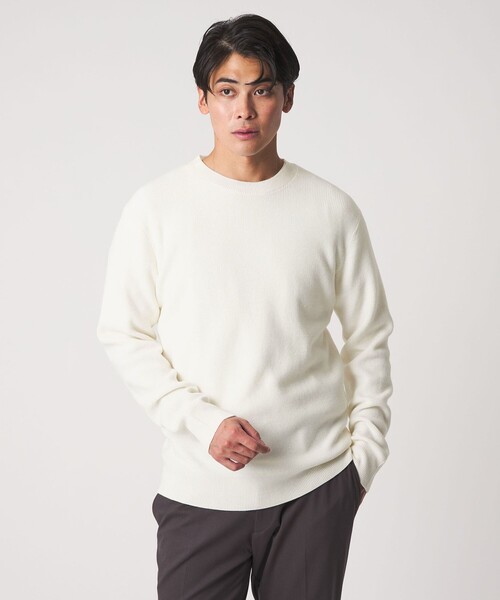 A DAY IN THE LIFE セーター ニット ハイゲージ プレーティング アゼ