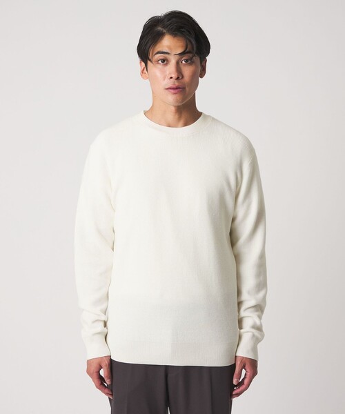 A DAY IN THE LIFE セーター ニット ハイゲージ プレーティング アゼ