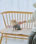 犬 服 「DOG」もちもちマットの詳細画像1
