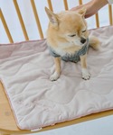 犬 服 「DOG」もちもちマットの詳細画像3