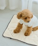 犬 服 「DOG」もちもちマットの詳細画像4