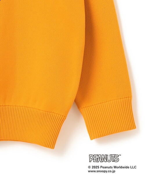 BEAMS GOLF（ビームス ゴルフ） 長袖ニット S グレー レディース