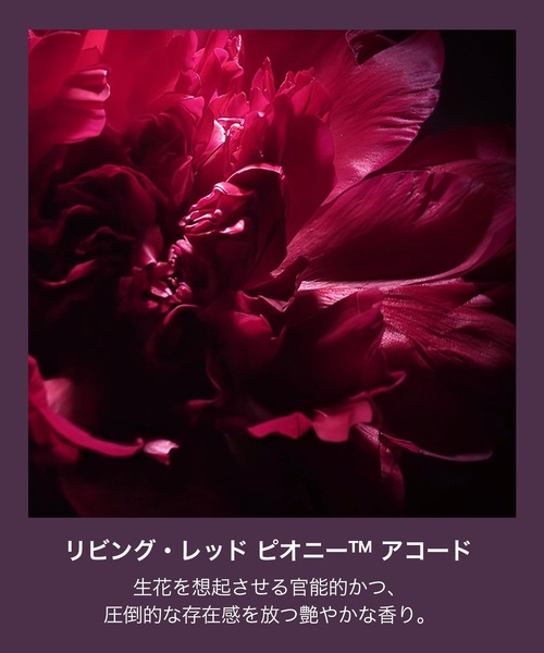 【日本正規品】ウード・ヴォヤージュ オード パルファム スプレィ 30mL ウード・ヴォヤージュ オード パルファム スプレィ / トム フォード