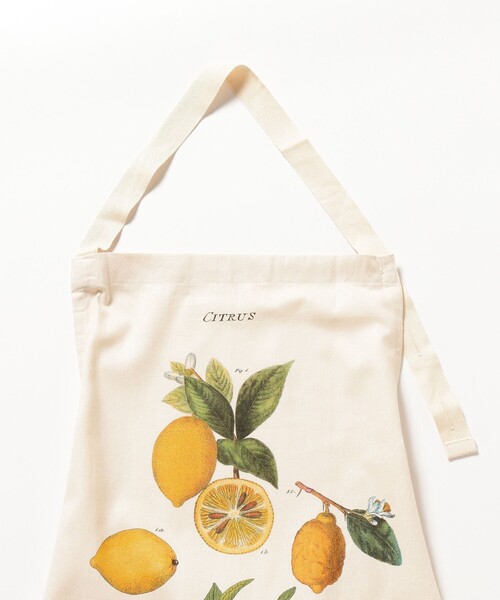 エプロン Cavallini ＆ co. / APRON | bPr BEAMS | 14