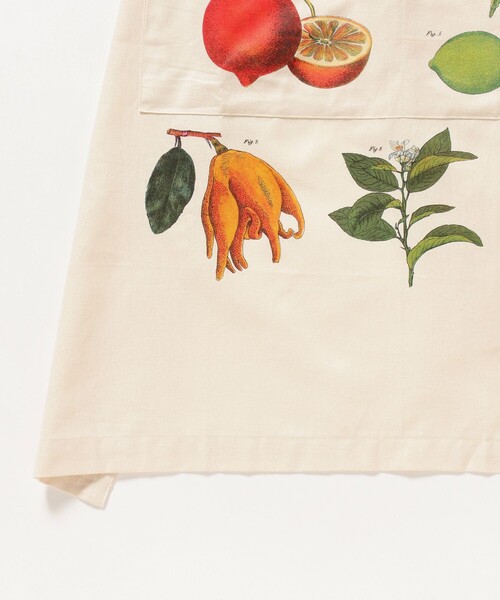 エプロン Cavallini ＆ co. / APRON | bPr BEAMS | 15