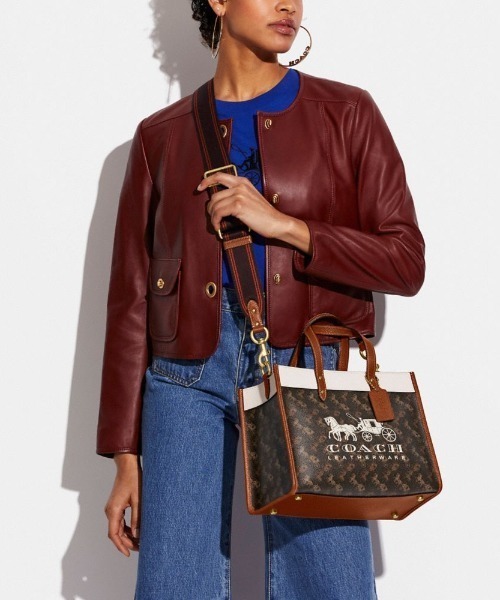 COACH 2WAY レザーバッグ　ブラウン COACH（コーチ） 2WAYバッグ フリ- ブラウン系その他 レディース