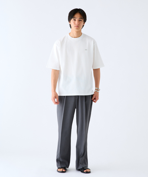 LACOSTE（ラコステ） tシャツ 別注 ニット Tシャツ メンズ レディース